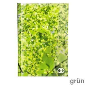 Soennecken Notizbuch oeco A5 grün kariert